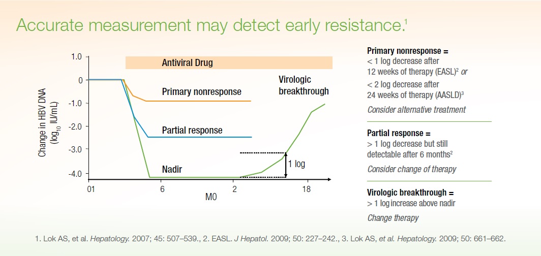 What Is Hbv Dna Viral Load Test